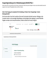Germany Pillar 2 Group Carrier Notification Form thumbnail
