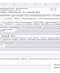 Hong Kong Pillar 2 Application Form for Group Code in respect of Multinational Enterprise thumbnail