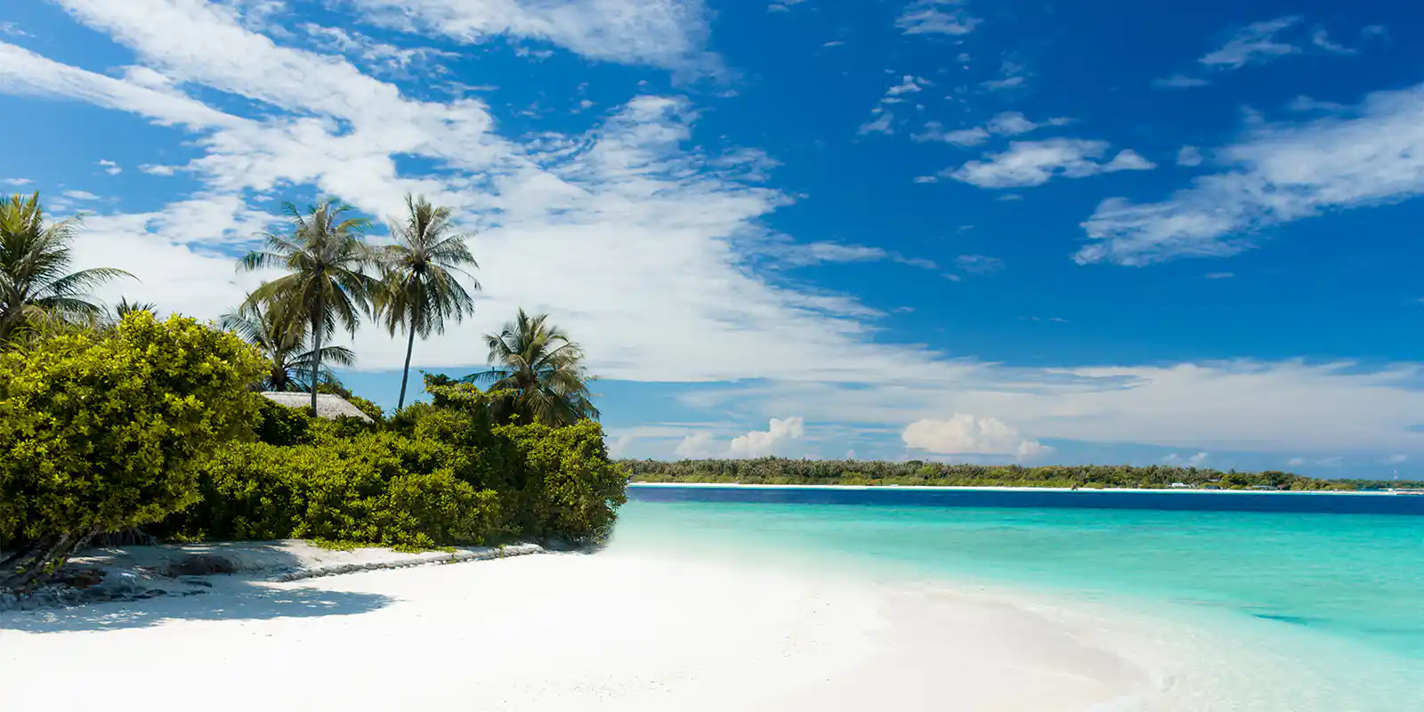 European Union-American Samoa-Fiji-Guam-Palau-Panama-Samoa-Trinidad and Tobago-U.S. Virgin Islands-Vanuatu