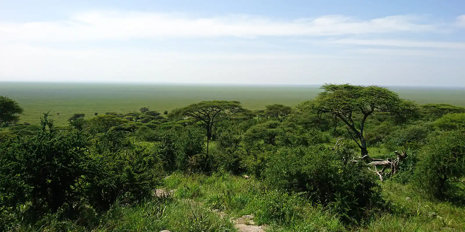 Central African Republic