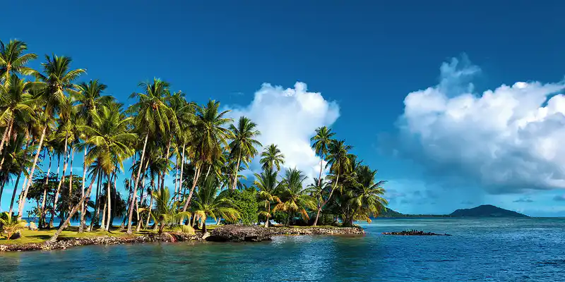 Micronesia's flag