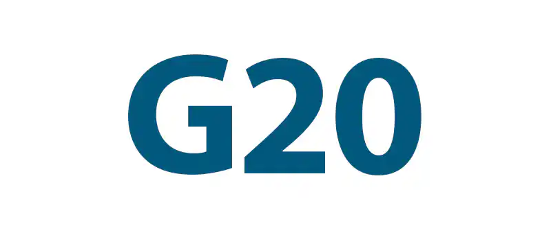 G20's flag