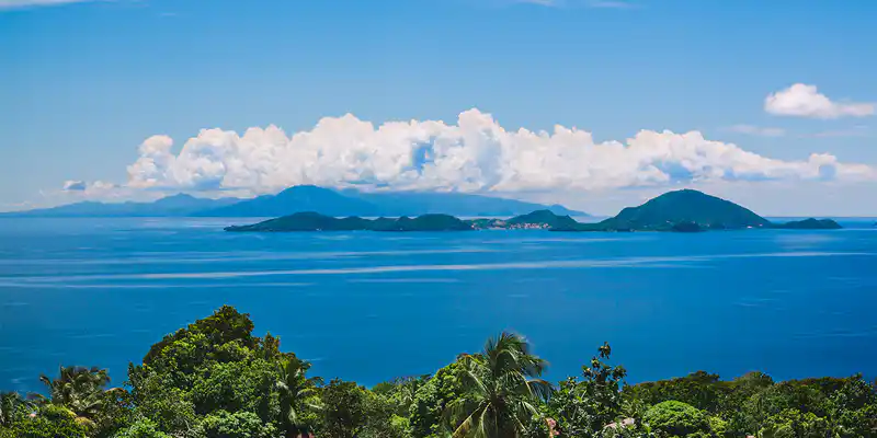 Guadeloupe's flag
