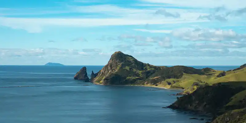 Niue's flag