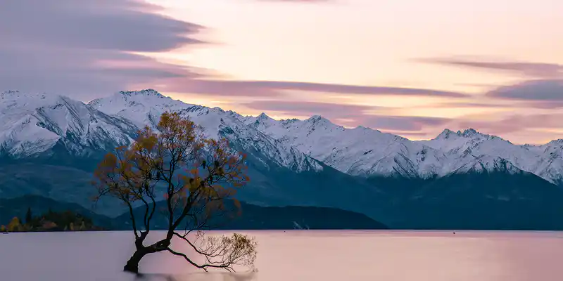 New Zealand