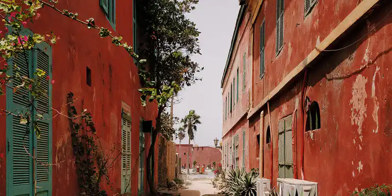 Senegal's flag