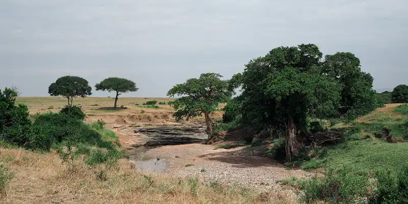 Somalia's flag