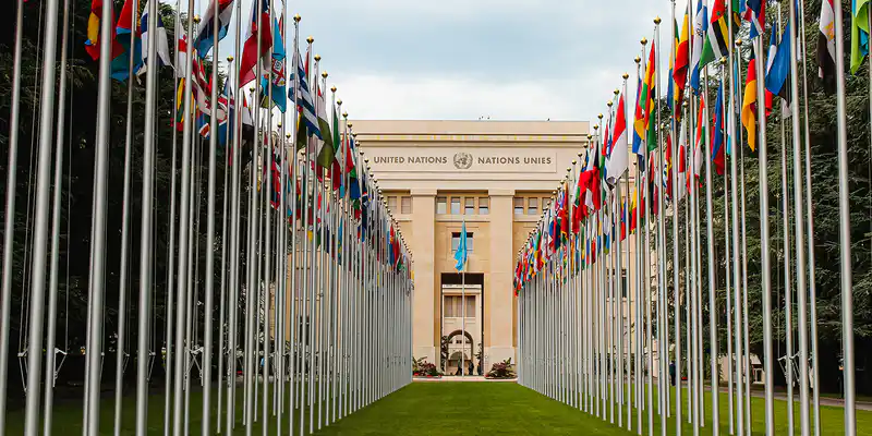 United Nations's flag