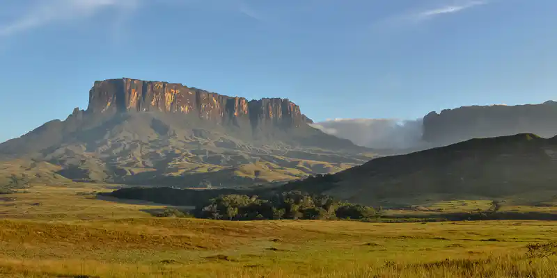 Venezuela's flag